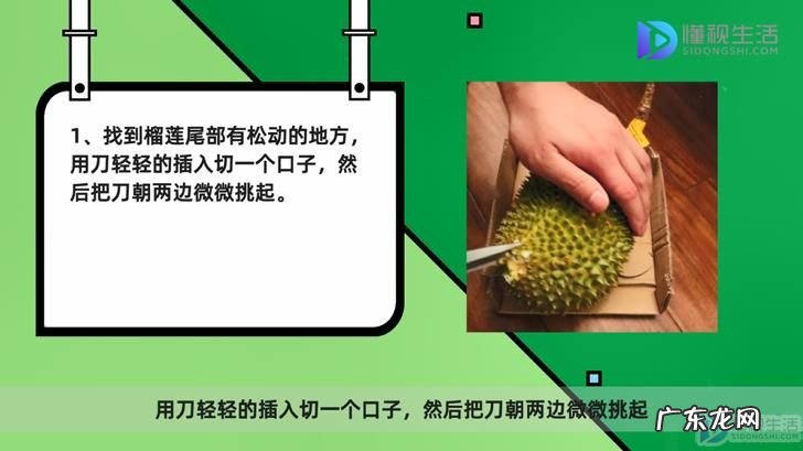 榴莲一直不开口是死包吗? 榴莲打不开怎么办