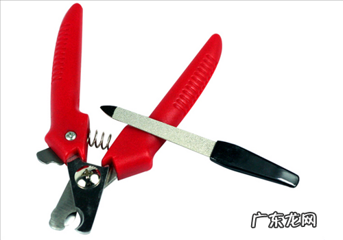 宠物犬猫的美容护肤专用工具详细介绍