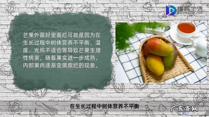芒果里面稀软还能吃吗? 芒果外面好里面烂是怎么回事