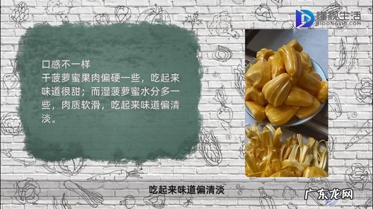 吃菠萝蜜的7大禁忌? 湿菠萝蜜和干菠萝蜜区别