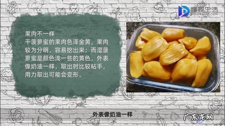 吃菠萝蜜的7大禁忌? 湿菠萝蜜和干菠萝蜜区别