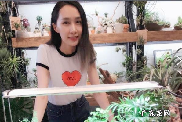 雷佳个人资料年龄简介及老公 雷佳音个人资料