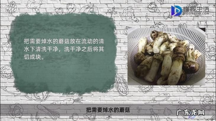 蘑菇焯水几分钟最好? 蘑菇焯水的正确方法