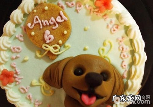 宠物蛋糕对小狗的身心健康是不是有利