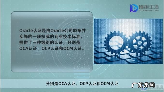 mysql ocp认证? oracle认证有效期