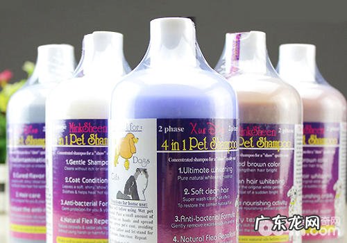 小狗一直有白屑该怎么办