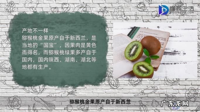 猕猴桃和金果营养区别? 猕猴桃金果和绿果的区别