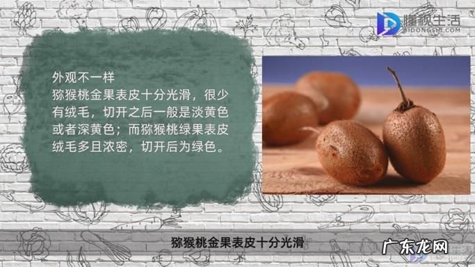 猕猴桃和金果营养区别? 猕猴桃金果和绿果的区别