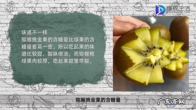 猕猴桃和金果营养区别? 猕猴桃金果和绿果的区别