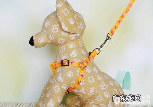 对狗狗伤人的处罚幅度是不是该增加