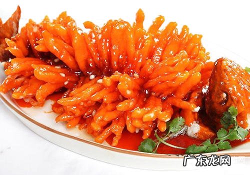 是不是该让小狗有时候也吃些苦