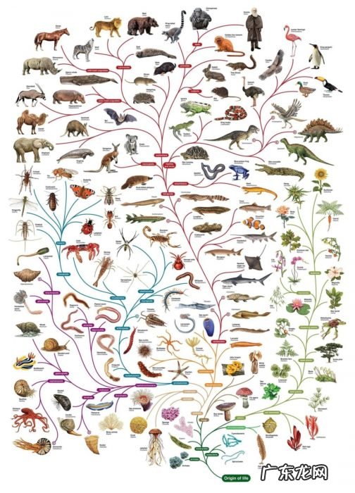 为什么外星人长得都像人类?牛津动物学家:人类进化理论或适用于全宇宙