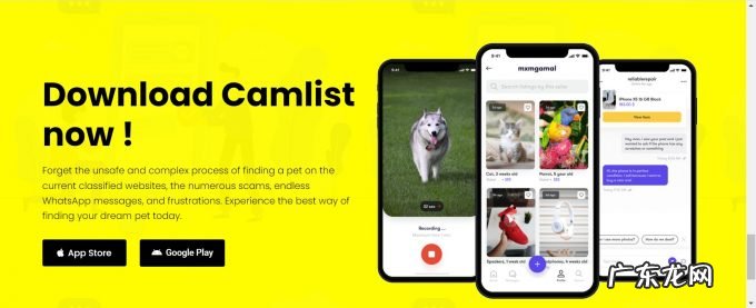 国外创投新闻 |「Camlist」筹集130万美元种子前资金,打造值得信赖的宠物交易市场