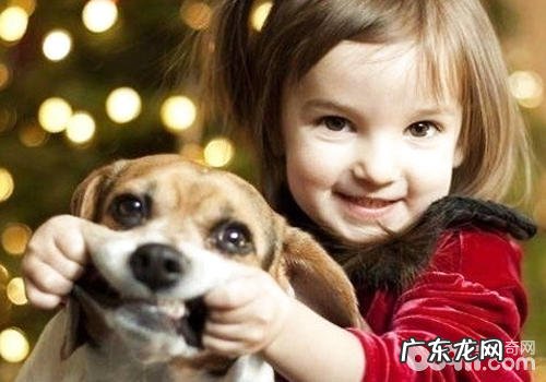 小孩与小狗实际上并不矛盾