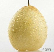 吃梨是早上吃好，还是晚上吃好？