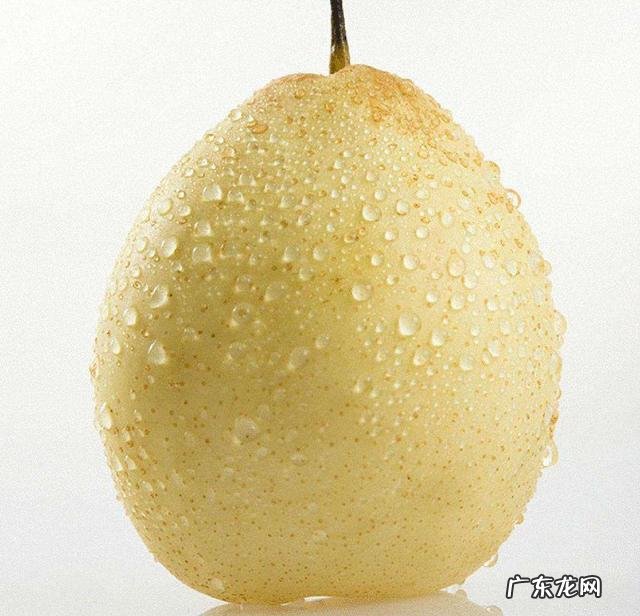 吃梨是早上吃好,还是晚上吃好?