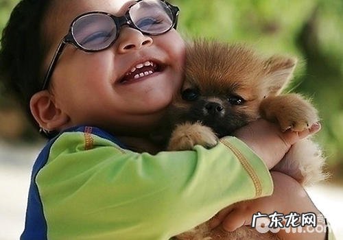 为什么有的小狗喜爱进攻小孩子