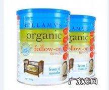 全球最好的奶粉 世界名牌奶粉