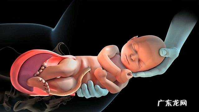 受孕几天分娩-袋鼠受孕多少天后分娩