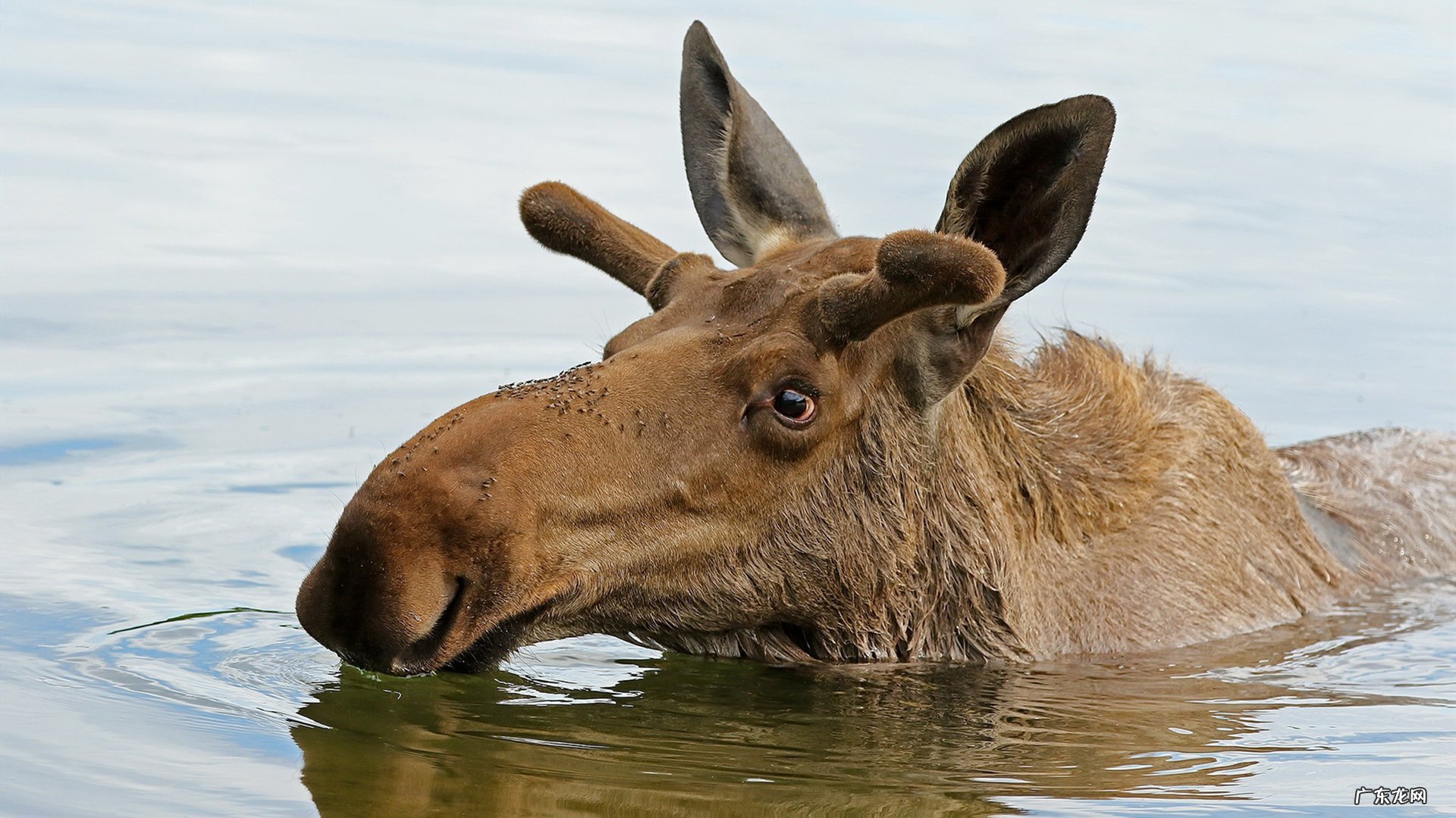 谁有简单易学瘦身舞蹈???