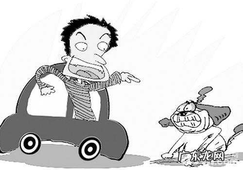 小狗道路交通事故纠纷案件如何处理