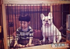 不必让小狗吃孩子的醋