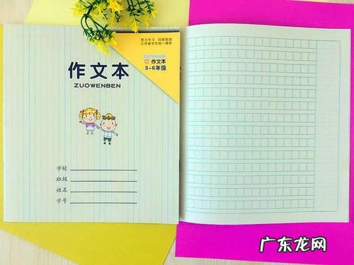 三年级作文大全300字 一年级作文大全100字