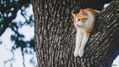 减肥要怎么减肥最好一点 什么方法减肥最好？说说你的减肥经历吧？