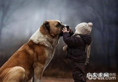 小孩养宠物要掌握的一些事