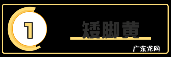 冬至吃什么东西 上海冬至吃什么