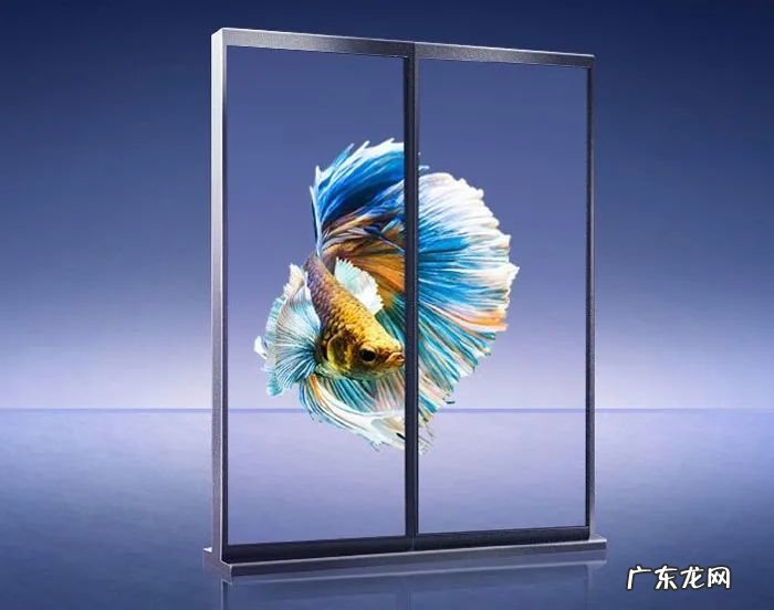 COG技术,是否永久改变LED显示产业链?