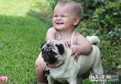 小狗能提高小孩的使命感