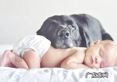 小狗能够降低小孩的无力感