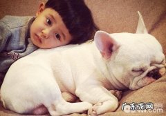 喂养小狗有利于小孩心理成长