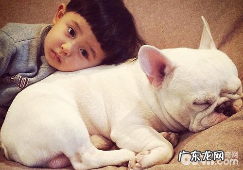 喂养小狗有利于小孩心理成长