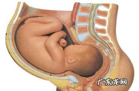 生孩子前的分娩反应有哪些-生孩子有哪几种分娩方式