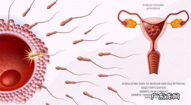 子宫后倾月经不易排出怎么办-子宫后倾位经期疼痛