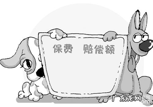 小宠物保险有哪些