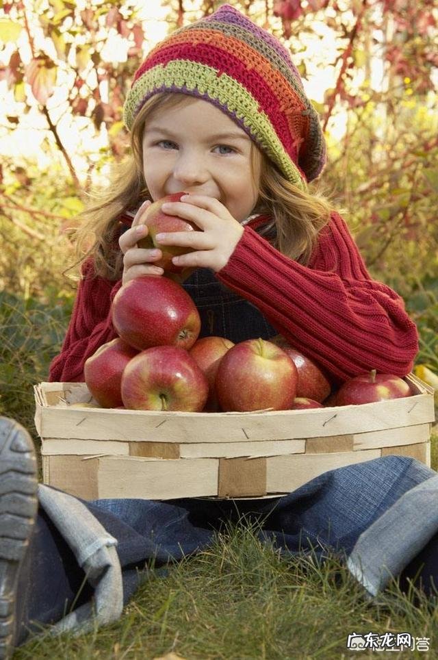 你们是如何放下对减肥的执念的?