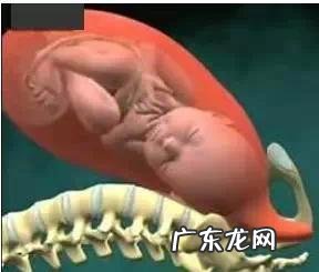 正确的顺产过程详细讲解-孕妇顺产的整个过程