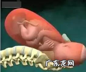 正确的顺产过程详细讲解-孕妇顺产的整个过程