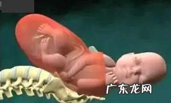 正确的顺产过程详细讲解-孕妇顺产的整个过程