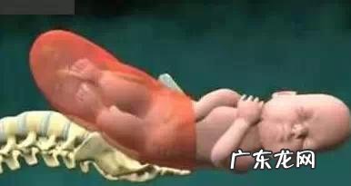 正确的顺产过程详细讲解-孕妇顺产的整个过程