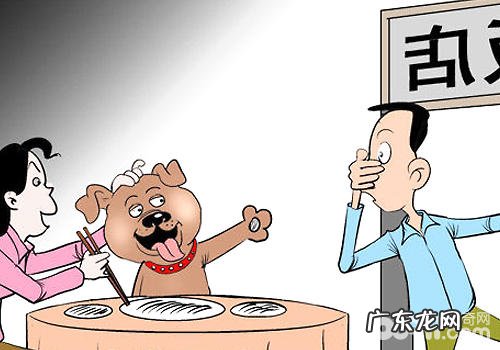 带小狗上餐桌是不是可用