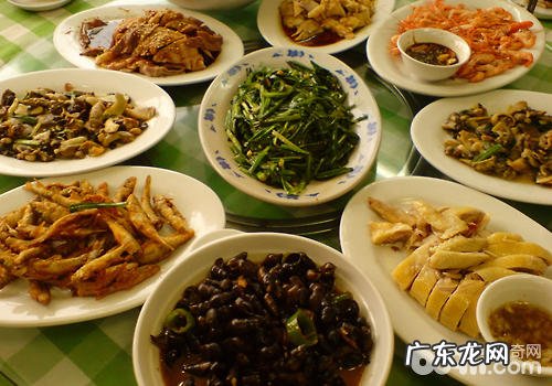 带小狗上餐桌是不是可用