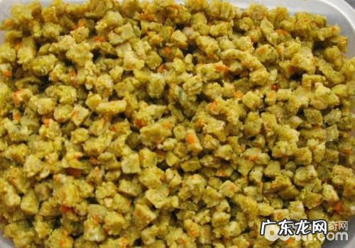 小狗食材调养要注意什么