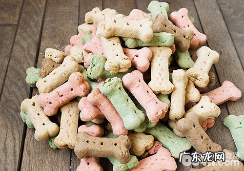 小狗食材调养要注意什么