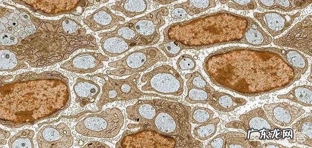 冬天是减肥的重中之重,那么大家有什么好的减肥小妙招?