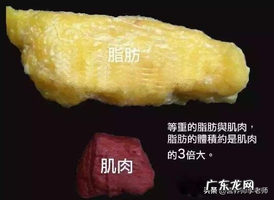 如何在半个月内瘦15斤 怎么在半个月内成功瘦15斤?有什么方法推荐?