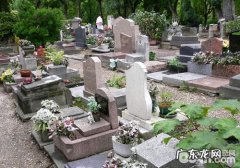 小狗是不是该有自身的公墓